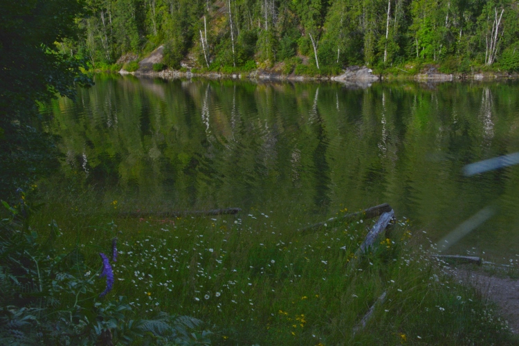 Williamson lake